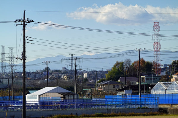 恩田川堀之内バス停付近の橋の上
