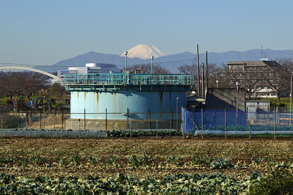 東本郷町