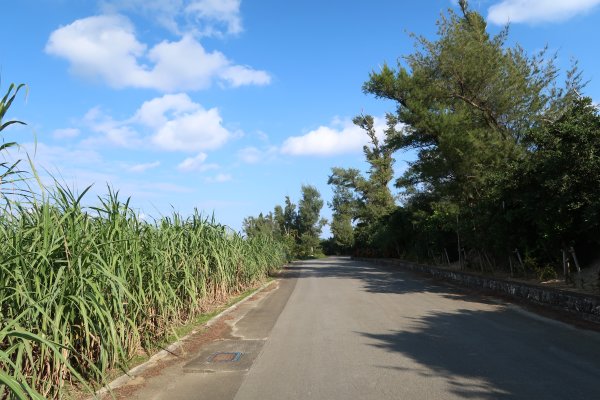 東海岸沿いの道路