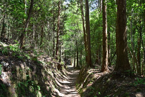山の辺の道(22)