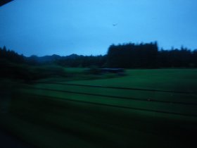 画像310