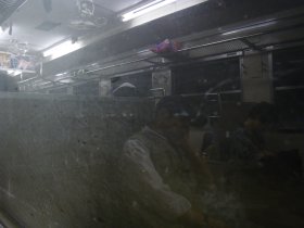 画像203