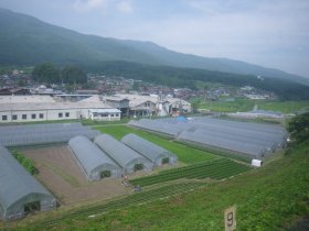 画像126