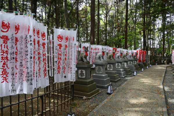 豊川稲荷：千本幟