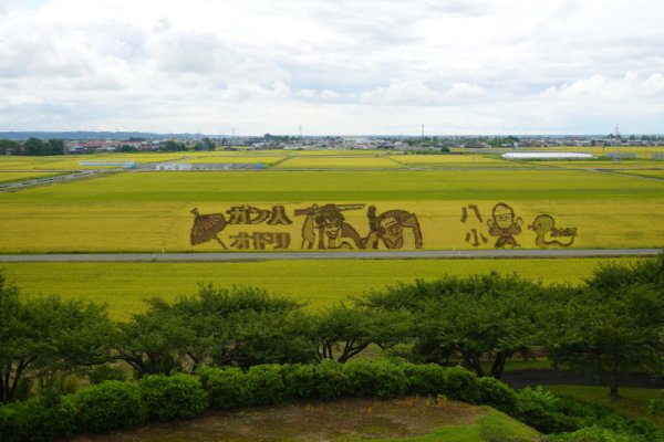 田圃アート(2)