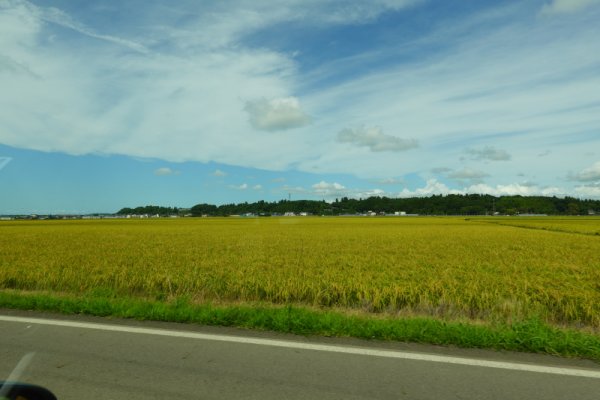 米どころ秋田