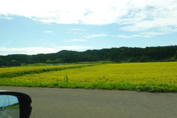 不動の滝へ向かう