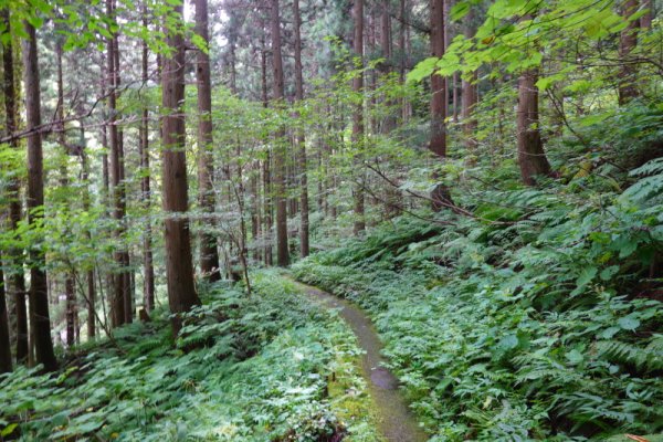 不動の滝への道