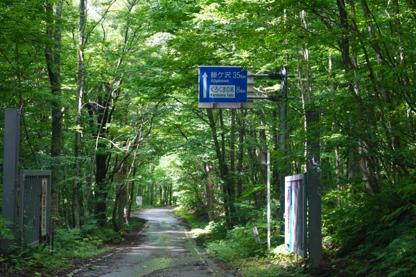 赤石川林道分岐