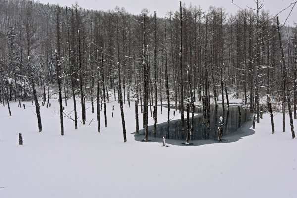 青い池(2)
