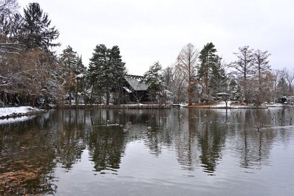 旭川市内(2)：常盤公園の千鳥ヶ池