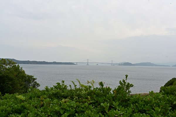 慈母観音のある丘