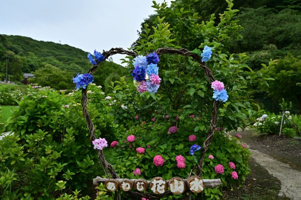 あわじ花山水