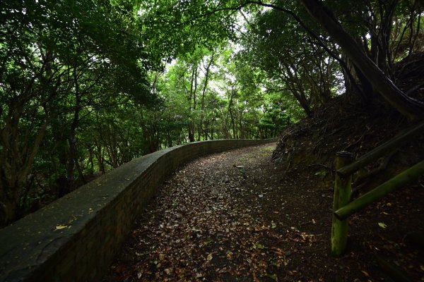 生石公園(4)