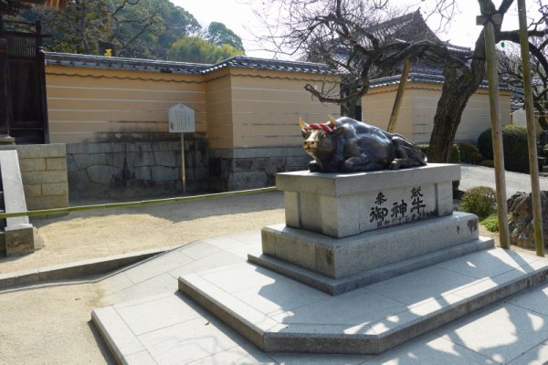 大宰府天満宮：御神牛