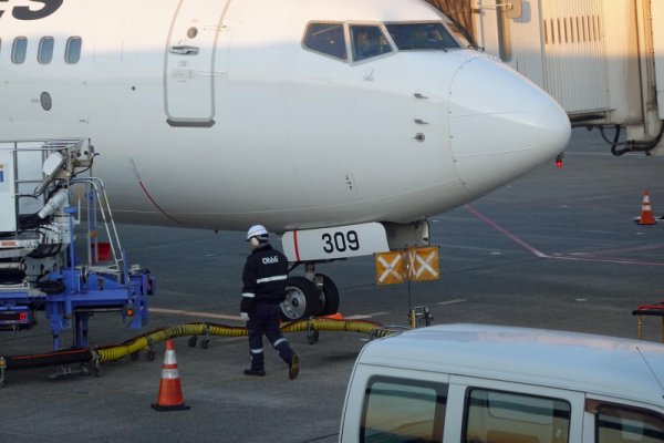 JAL431便：隣のスポット