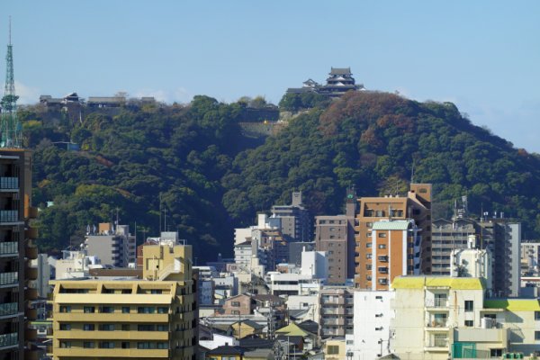 道後公園展望台