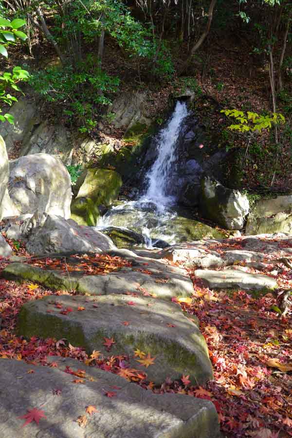 松山城二の丸庭園：滝