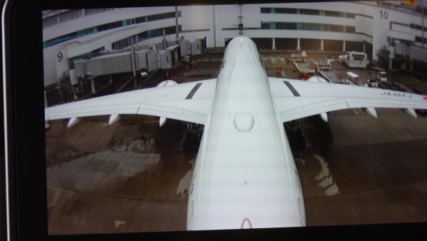 JAL303便：スポットに到着