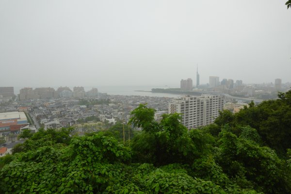 愛宕神社(6)：境内