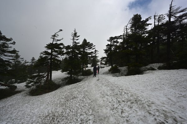 八幡平(4)