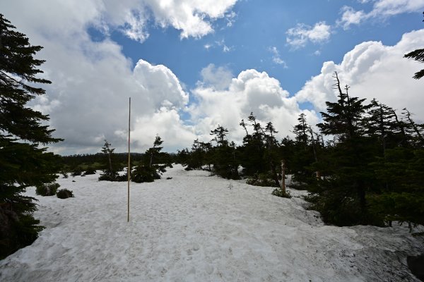八幡平(12)