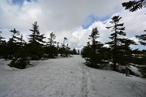 八幡平(33)
