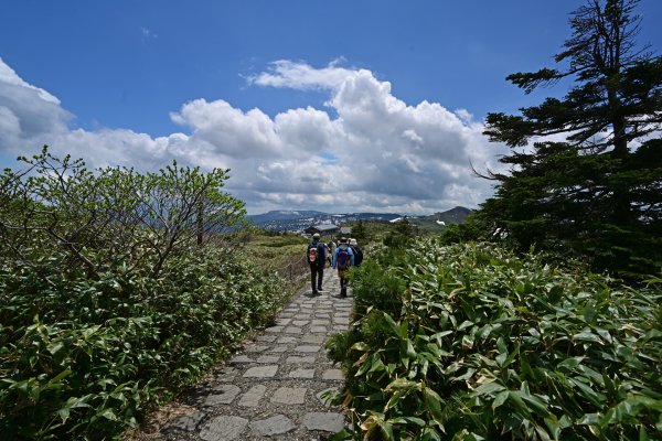 八幡平(40)