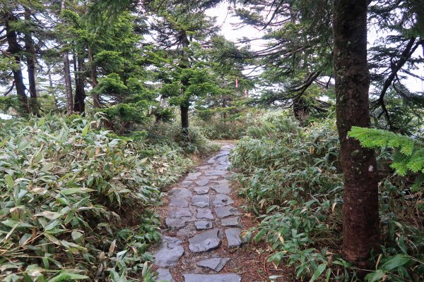 八幡平(8)
