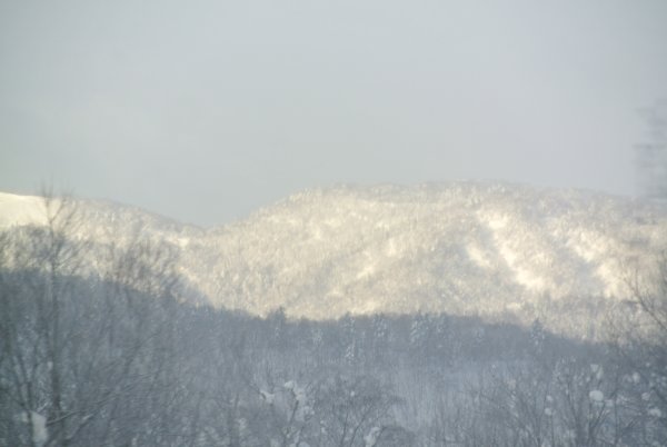 遠くの山