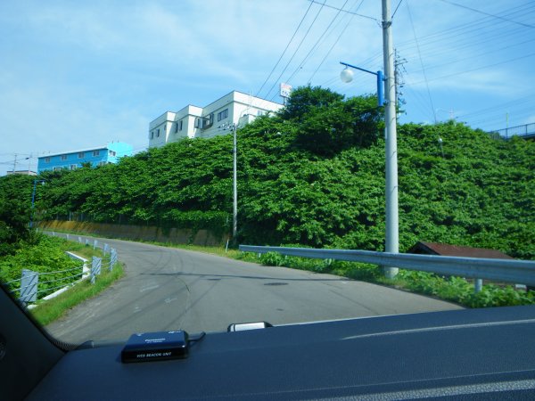 国道229号線(2)