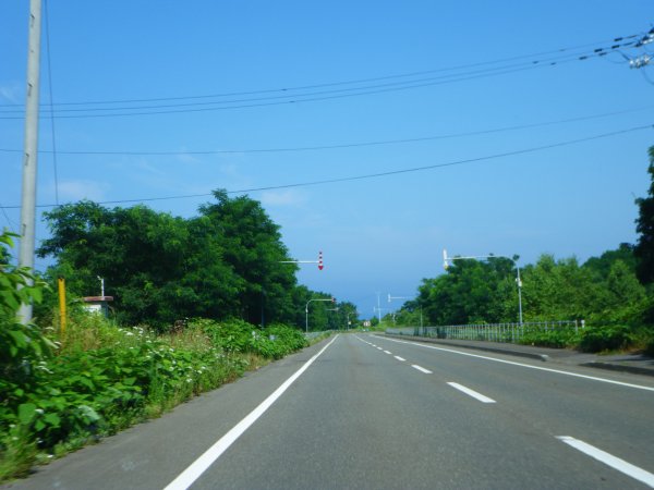 国道231号線(6)