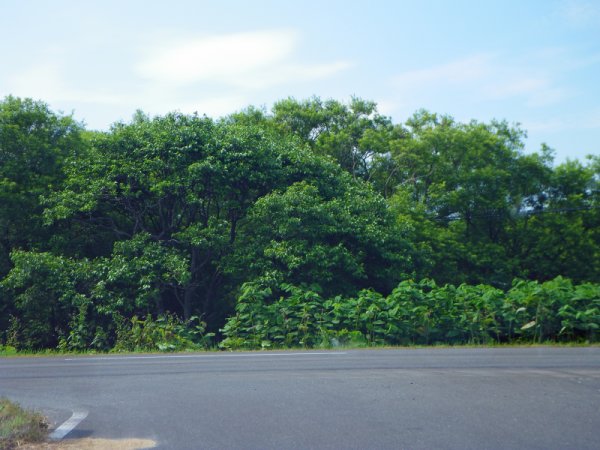 猿払村道エヌサカ線(10)：終点
