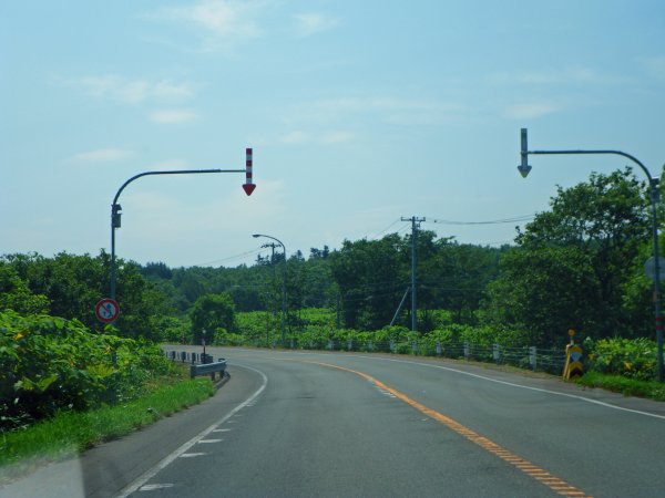 国道238号線(10)