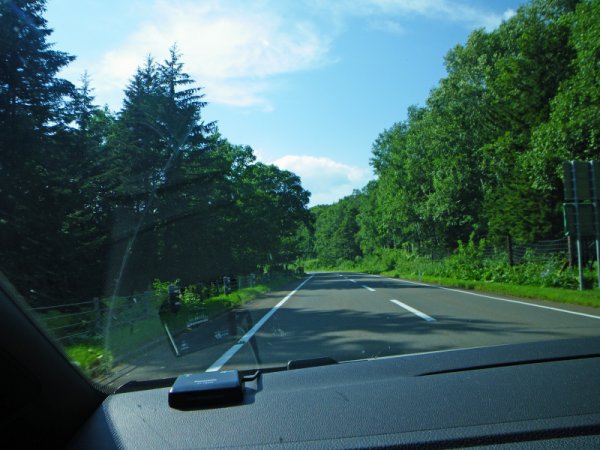 国道241号線