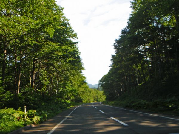 国道241号線