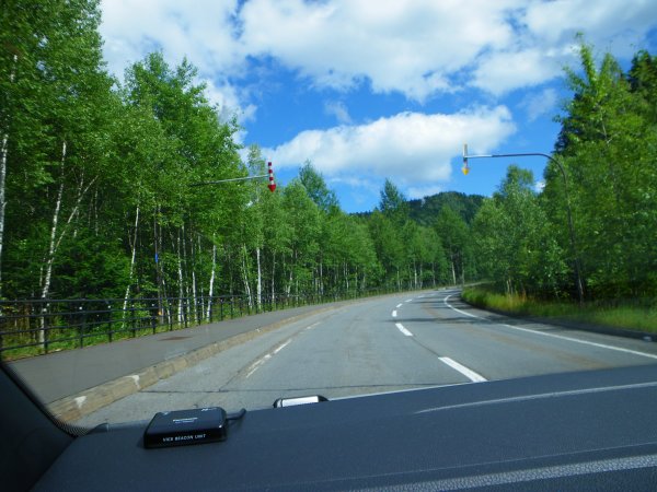 国道273号線