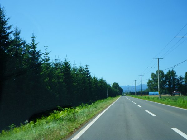 通勤路(2)