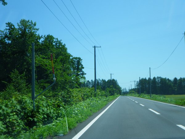 海岸線に向かって