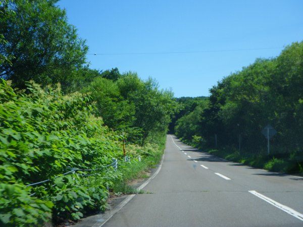 虫類を過ぎて
