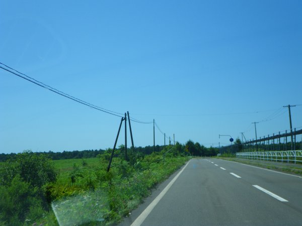 国道336号線