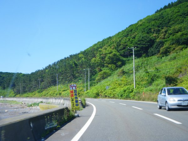 国道336号線