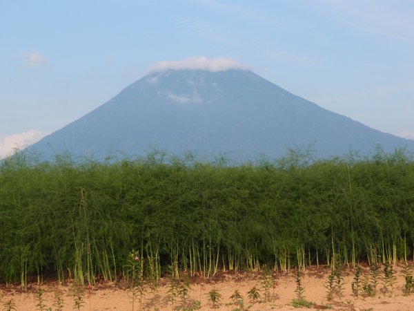 羊蹄山(3)