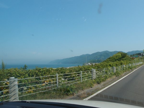 国道231号線(2)