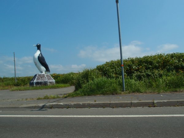 国道232号線(5)：オロロン鳥