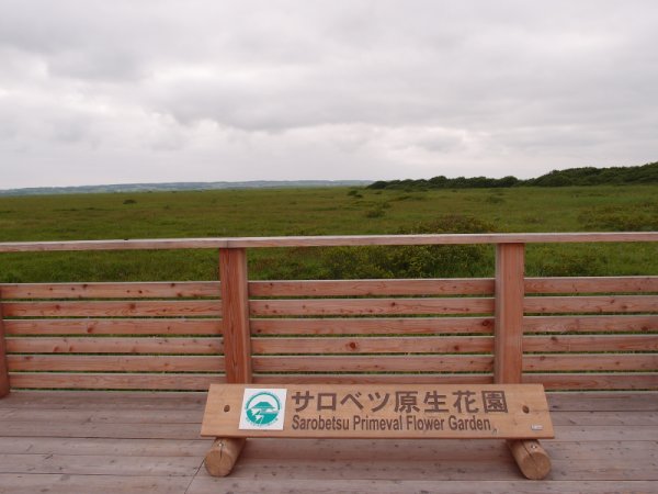 サロベツ原生花園(2)：展望デッキ