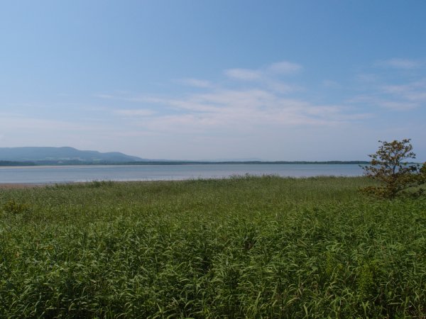 コムケ沼