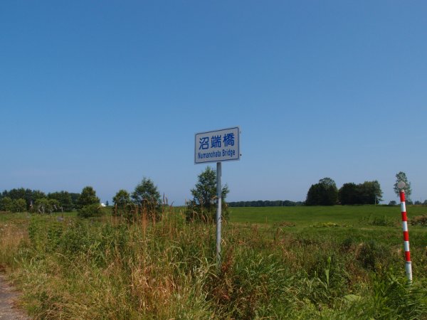 国道238号線(16)：沼端橋