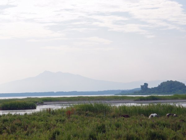 濤沸湖