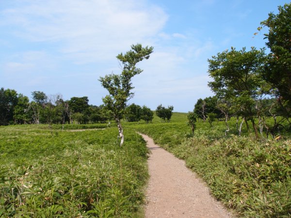 フレペの滝散策路(2)